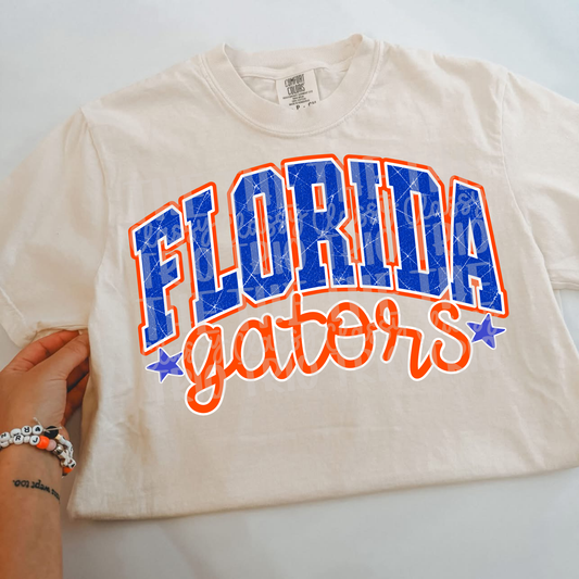 Florida Distress Varsity Look, School Spirit Wear, PNG Digital Design,, Football (Digital Only)