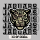 Jaguars PNG