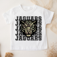 Jaguars PNG