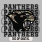 Panthers PNG