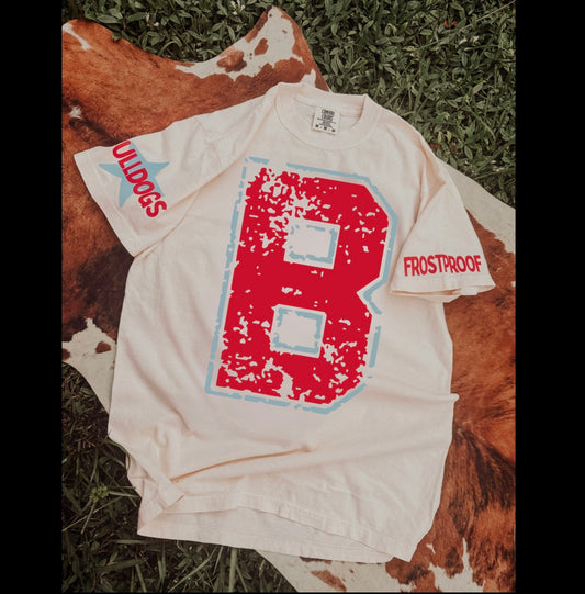 Distressed TWO layer Letters Canva Template | Editable Team Shirt Design | Custom Sports Template | Sublimation & DTF Design