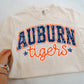 Aub Tiger Distress Varsity Look, School Spirit Wear, PNG Digital Design,, Football (Digital Only)