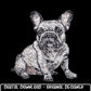 Faux Rhinestone Frenchie Dog | Digital Design | PNG | Sublimation | DTF | Puppy | Original Creator | Shirt Design | Dog Breeds | Trending