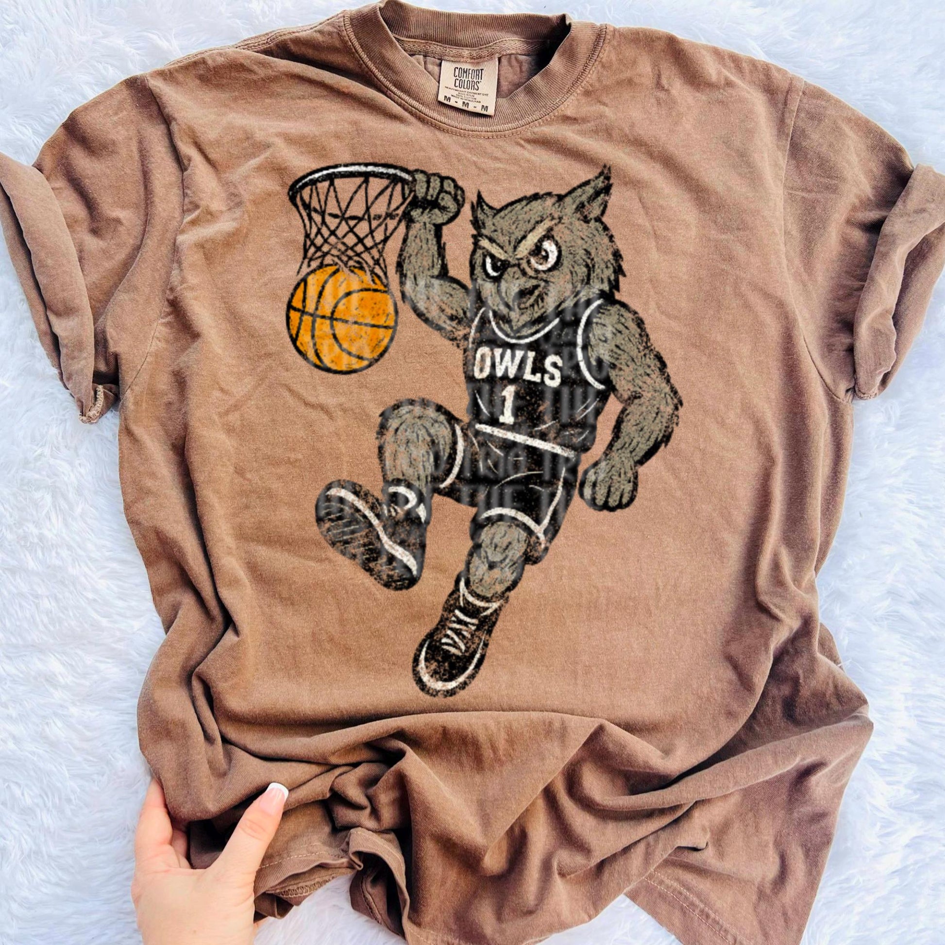 Owls Basketball Grudge | Digital Design | PNG | Original Designer | Retro Shirt Design Trend | Vintage Chalk Distressed | School Mascot