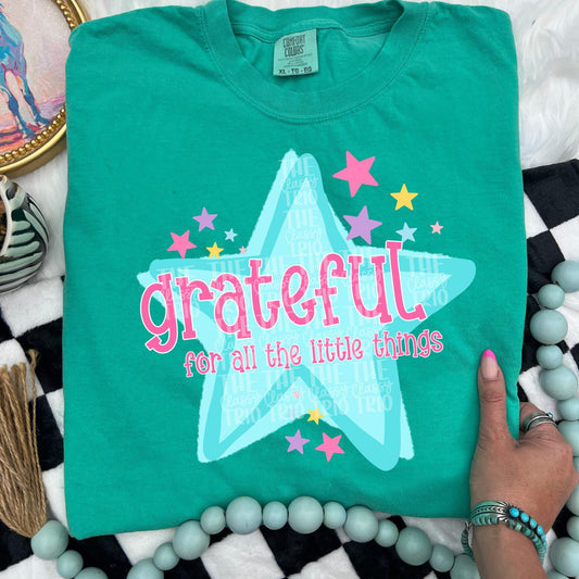 Grateful For The Little Things | Digital Design | PNG | Sublimation | Pastels | Christian Shirt Design | Trending | Original | Gift Idea
