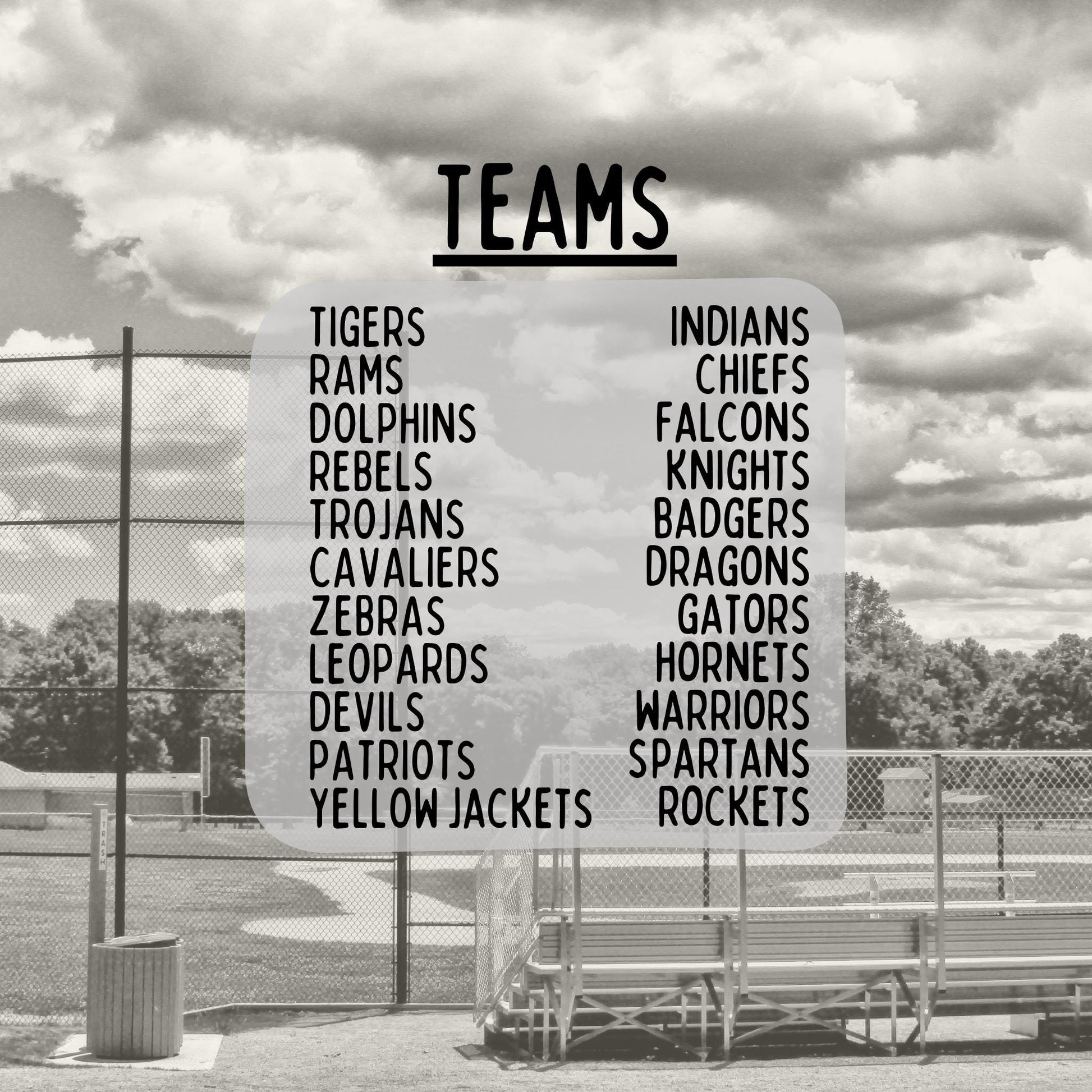 Baseball + Softball Club Bundle PNG Bundle | Sports Designs (Digital)