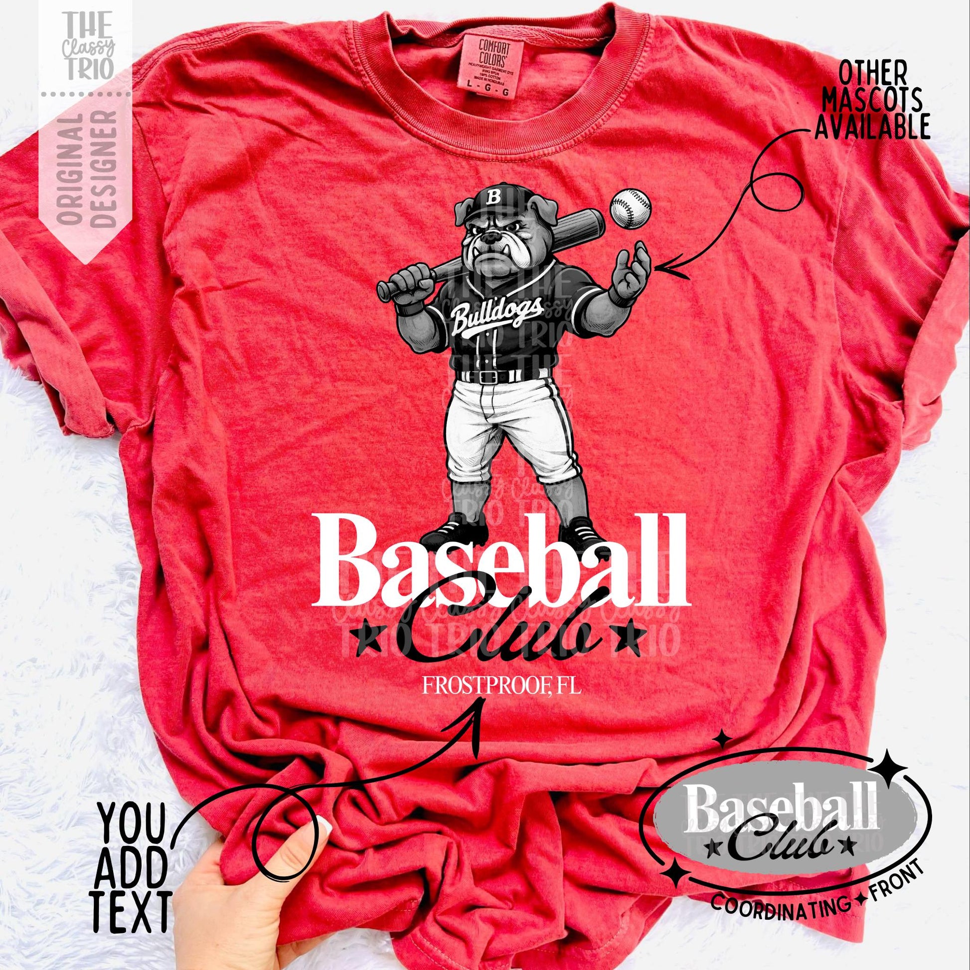 Baseball Club Bundle PNG Bundle | Sports Designs (Digital)